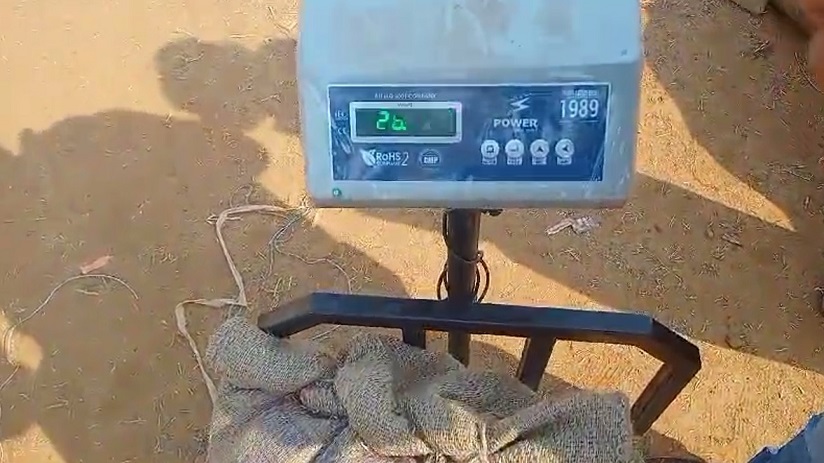 Bilaigarh News : सलौनीकला धान खरीदी केंद्र में भ्रष्टाचार बड़ी जोरो से  41 किलो धान खरीदकर 26 किलो की जा रही भर्ती  सरकार को लगा रहे चुना