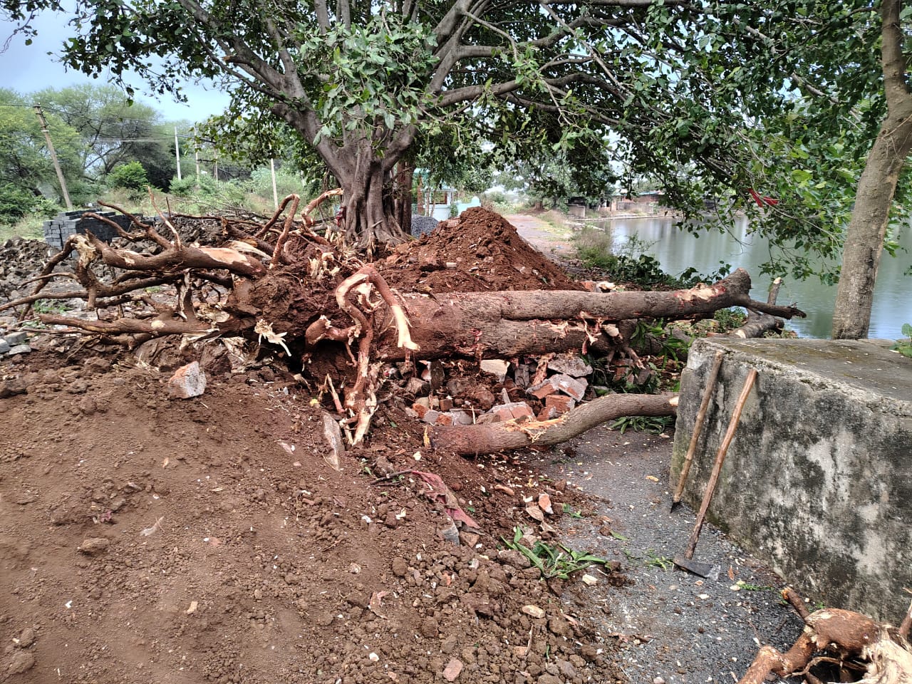 Bilaigarh News : नगरदा में तालाब पार बने शौचालय को तोड़ा गया, हरे-भरे पेड़ों की कटाई कर हो रहा सीएससी सेंटर का निर्माण, कलेक्टर से की शिकायत