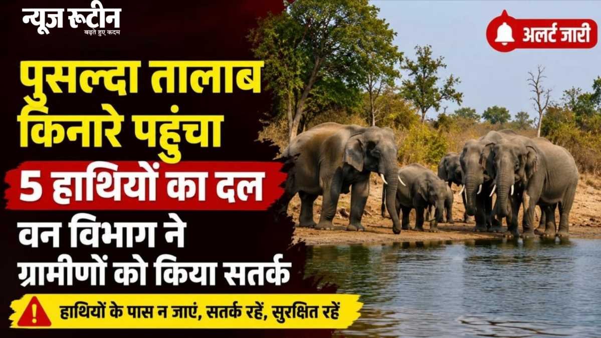 पुसल्दा तालाब पर हाथियों का दल — ग्रामीणों में चिंता, वन विभाग ने अलर्ट जारी किया