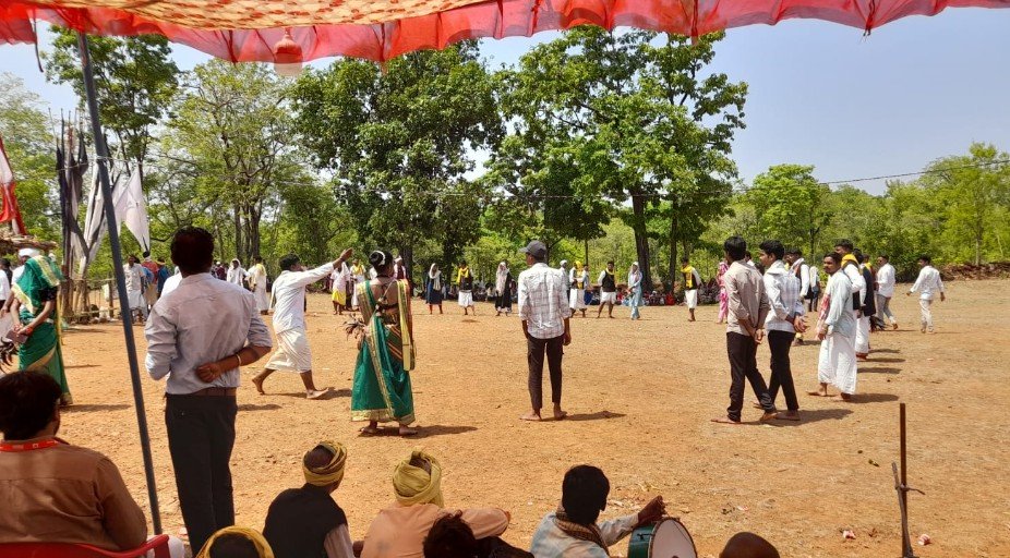 बालोद : देव जात्रा कार्यक्रम में उमड़ा जनसैलाब, मधुमक्खियों के हमले से कई लोग लौटे, स्थिति रही शांतिपूर्ण