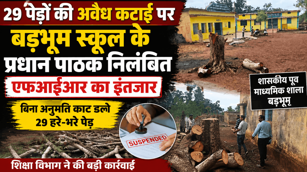 बालोद: 29 पेड़ों की अवैध कटाई पर बड़भूम स्कूल के प्रधान पाठक निलंबित, एफआईआर का इंतजार