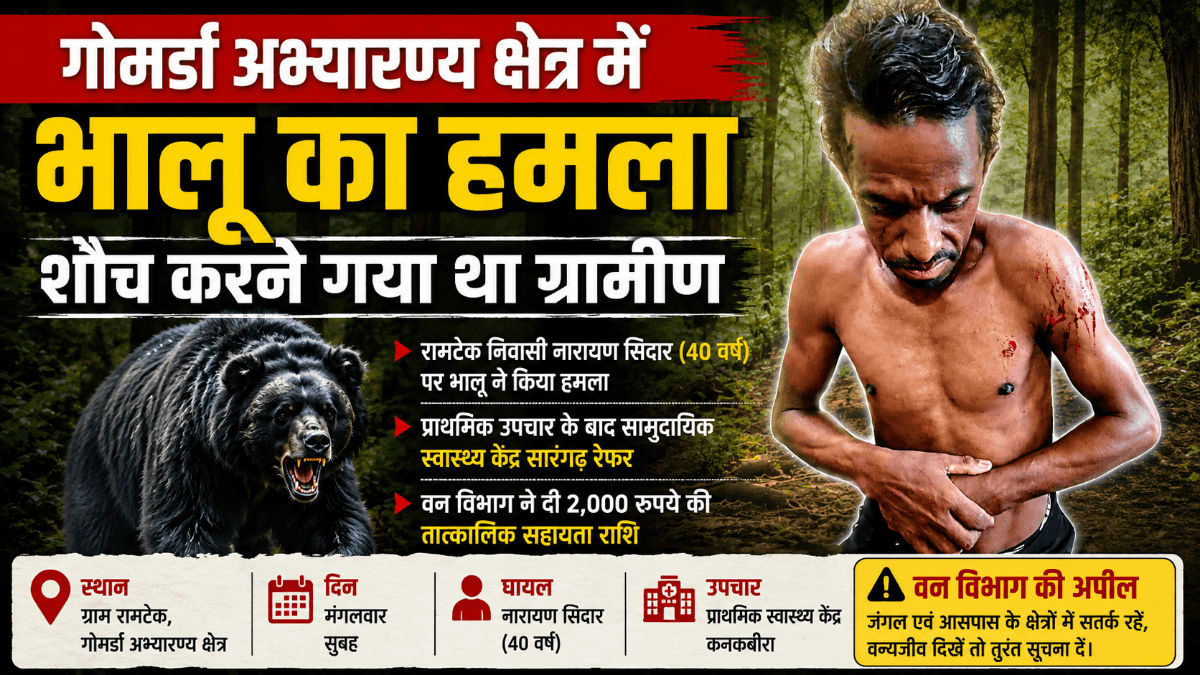 गोमर्डा अभ्यारण्य में भालू का हमला: शौच के लिए निकले ग्रामीण पर जानलेवा हमला, गंभीर घायल