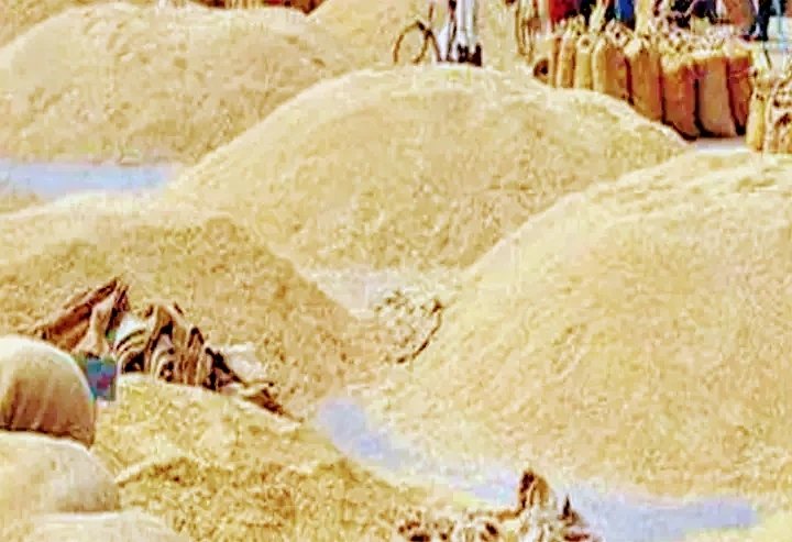 महासमुंद, धान खरीदी में फर्जीवाड़ा, 10 लोगों पर FIR दर्ज