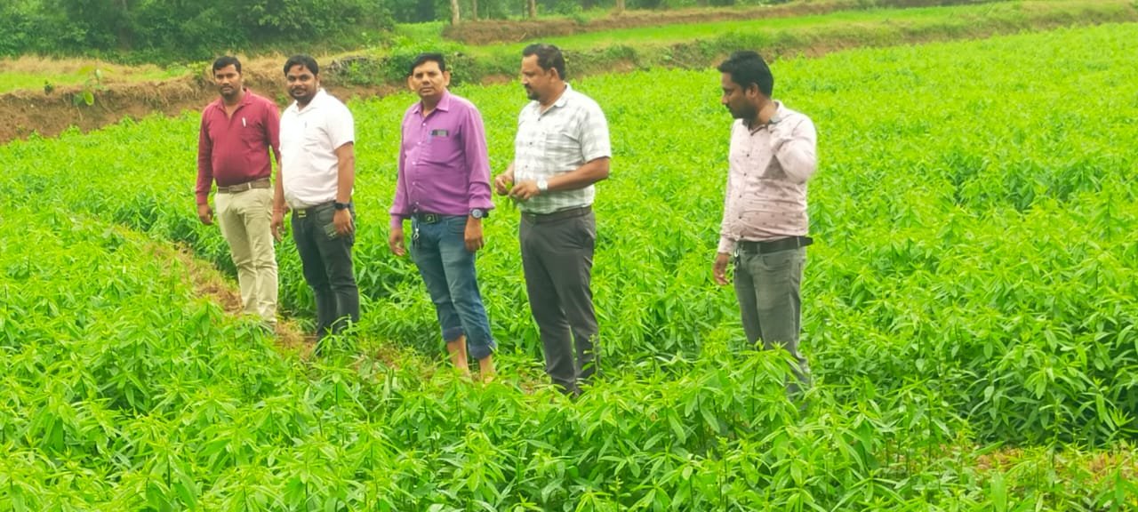 ग्राम परषापाली में जैविक खेती आवलोकन एवं कृषक प्रशिक्षणःB